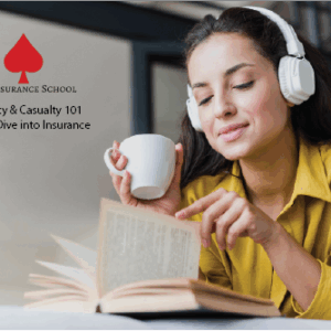Property & Casualty 101: A Deep Dive into Insurance